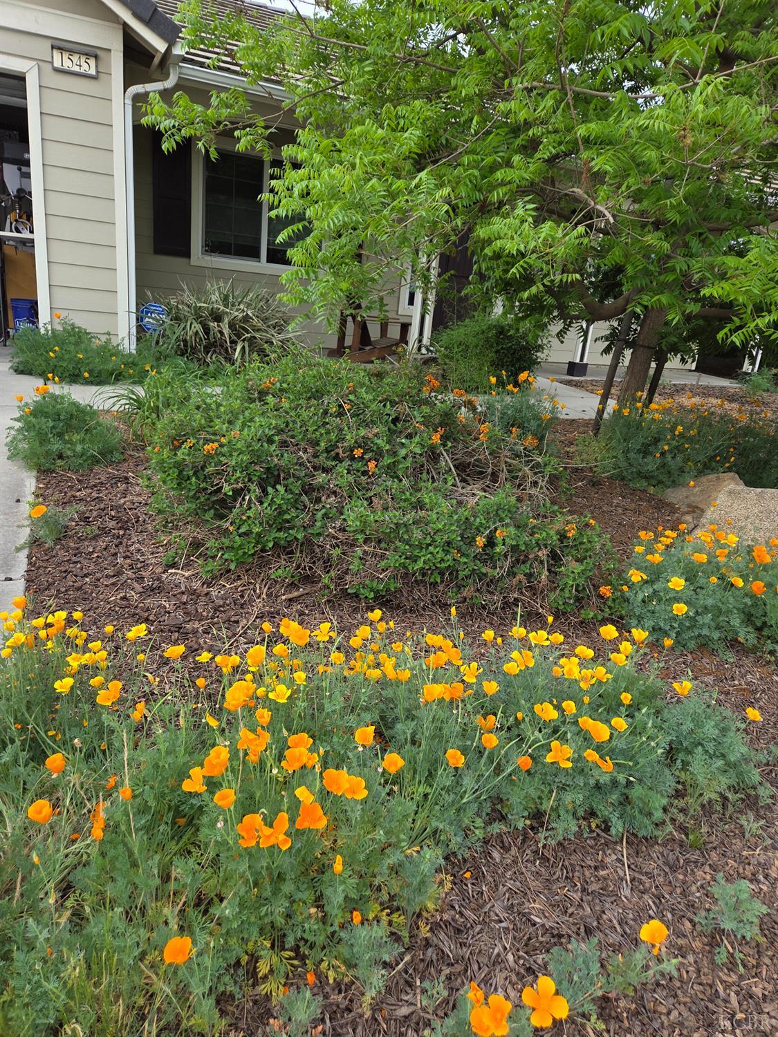 1545 National Dr, Lemoore, CA 93245