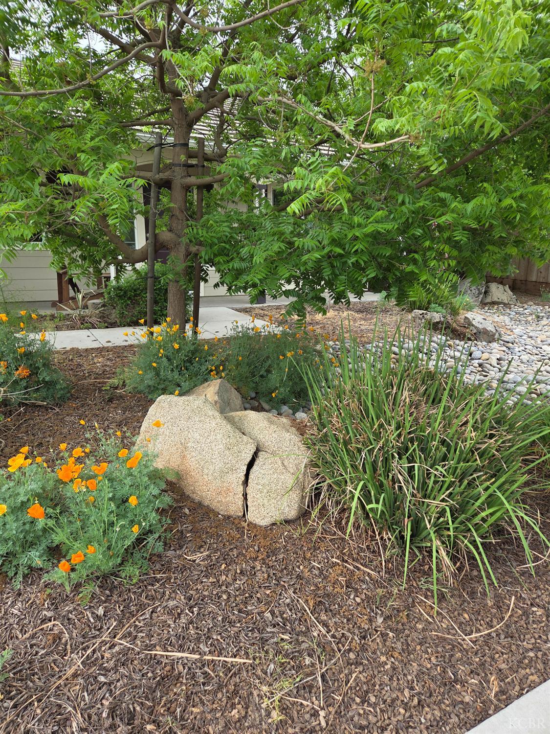 1545 National Dr, Lemoore, CA 93245