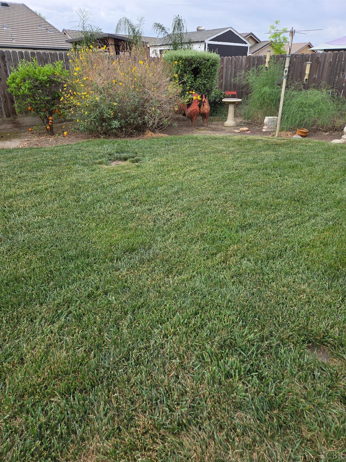 1545 National Dr, Lemoore, CA 93245