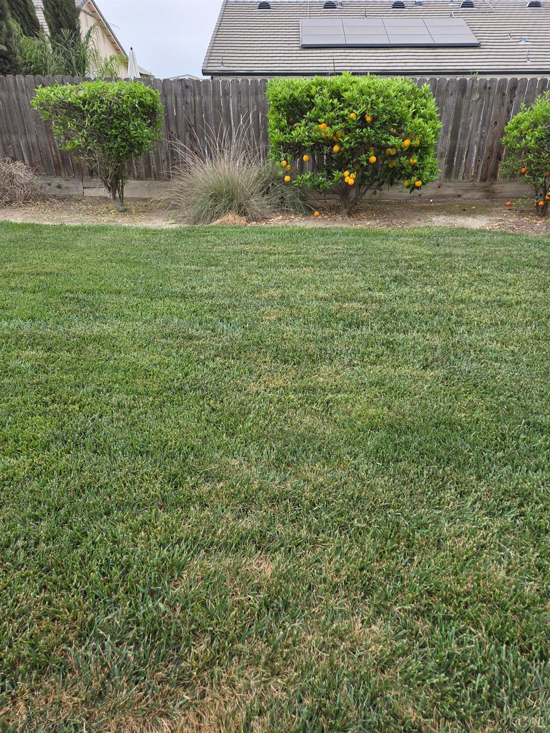 1545 National Dr, Lemoore, CA 93245