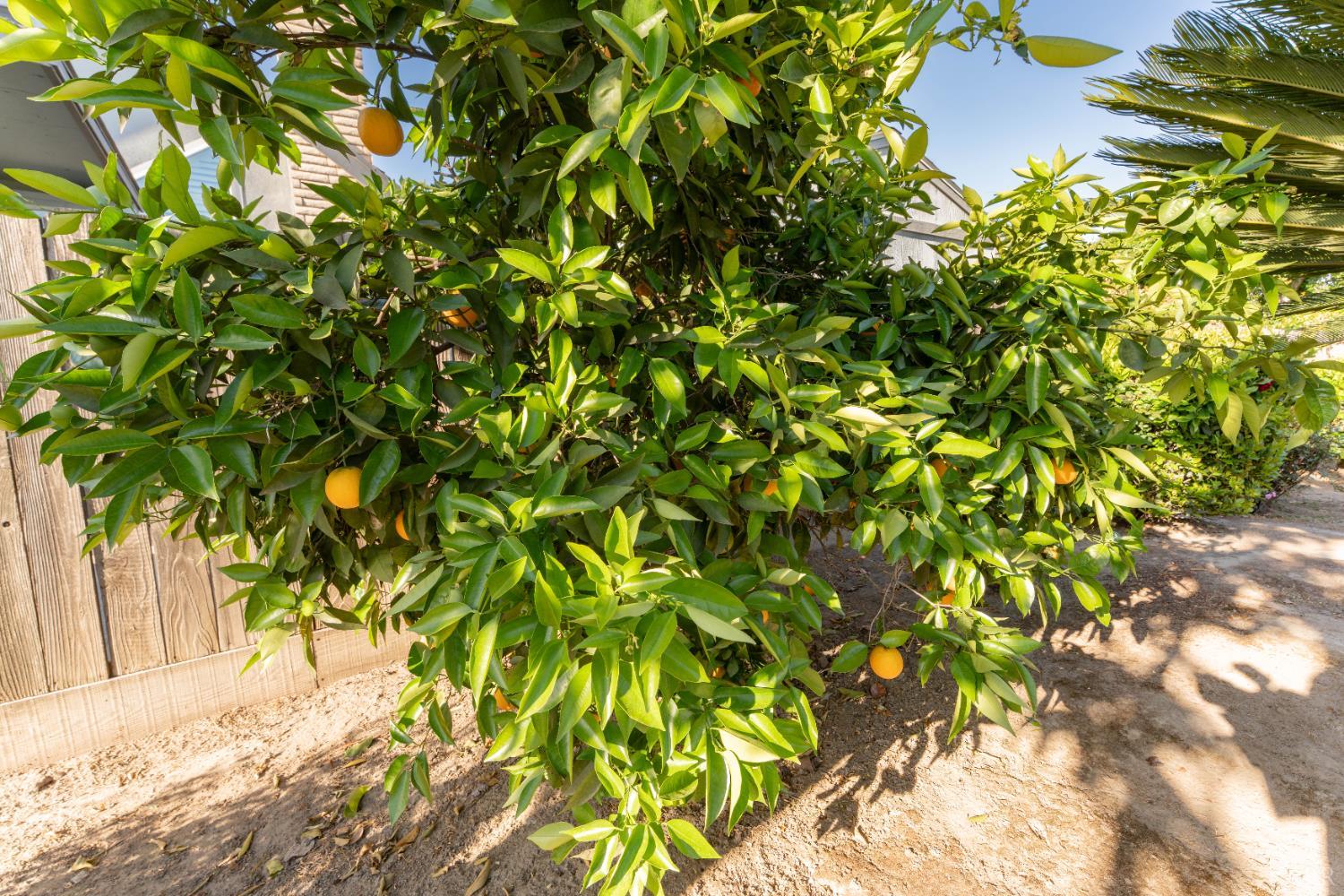 3714 W Woodside Ave, Visalia, CA 93291