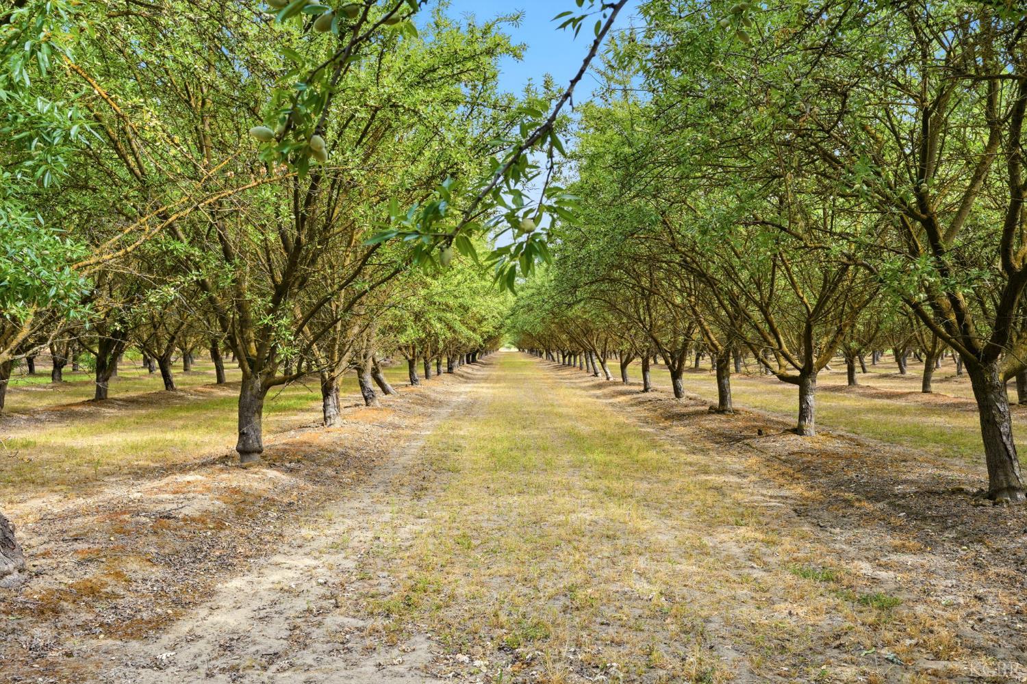 5308 E Mount Whitney Ave, Laton, CA 93242