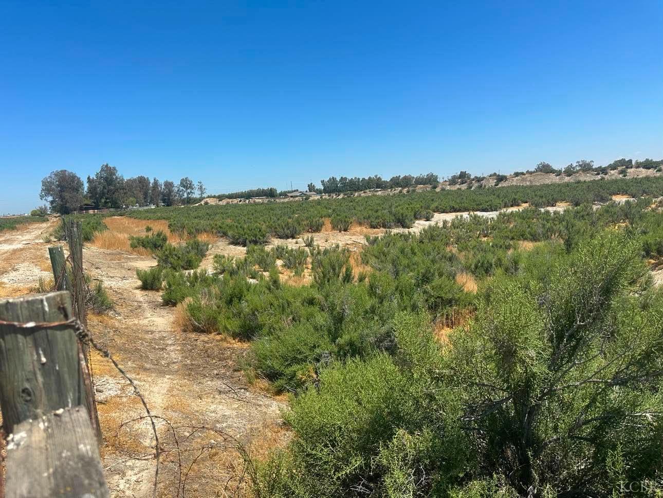 0 054 Jackson, Lemoore, CA 93245