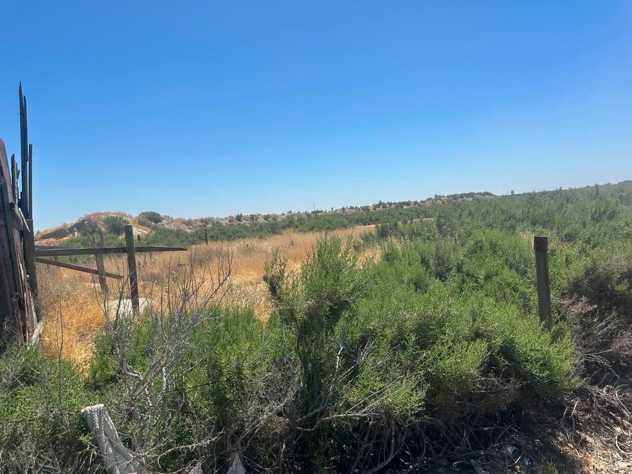 53 Jackson, Lemoore, CA 93245
