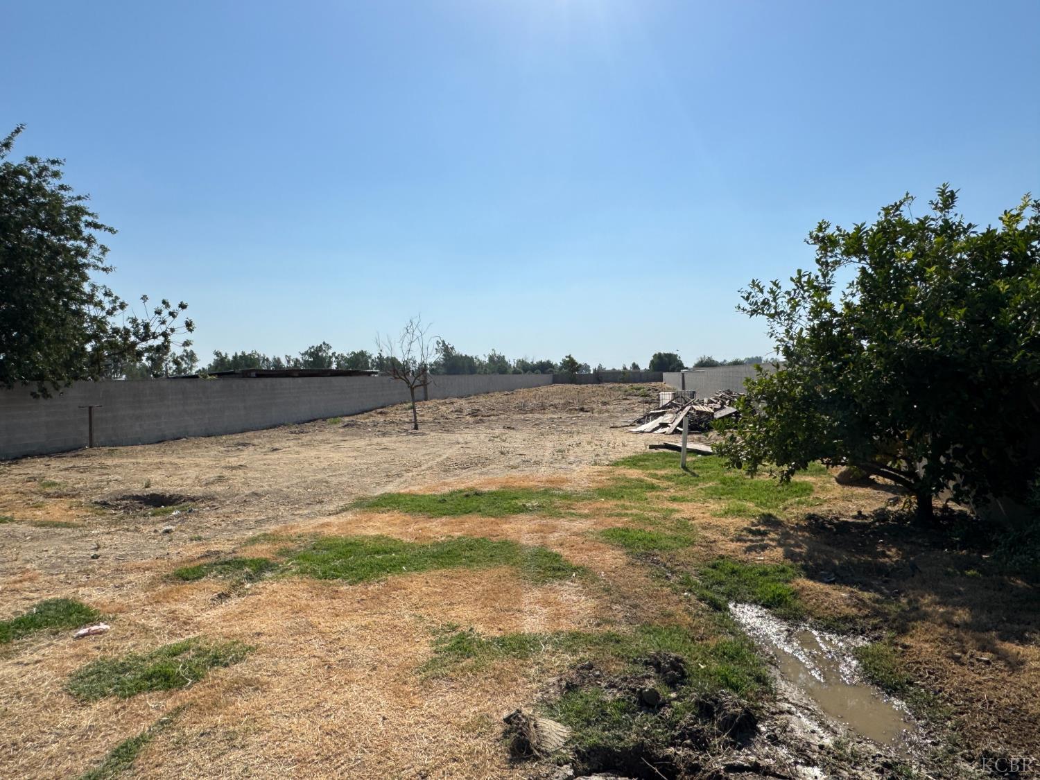 7347 Road 134, Earlimart, CA 93219