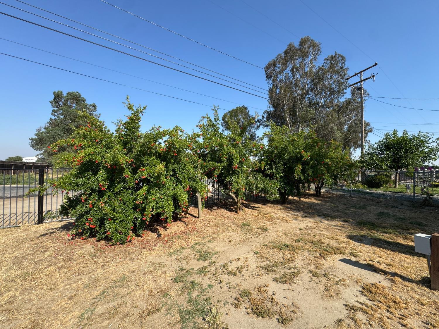 7347 Road 134, Earlimart, CA 93219