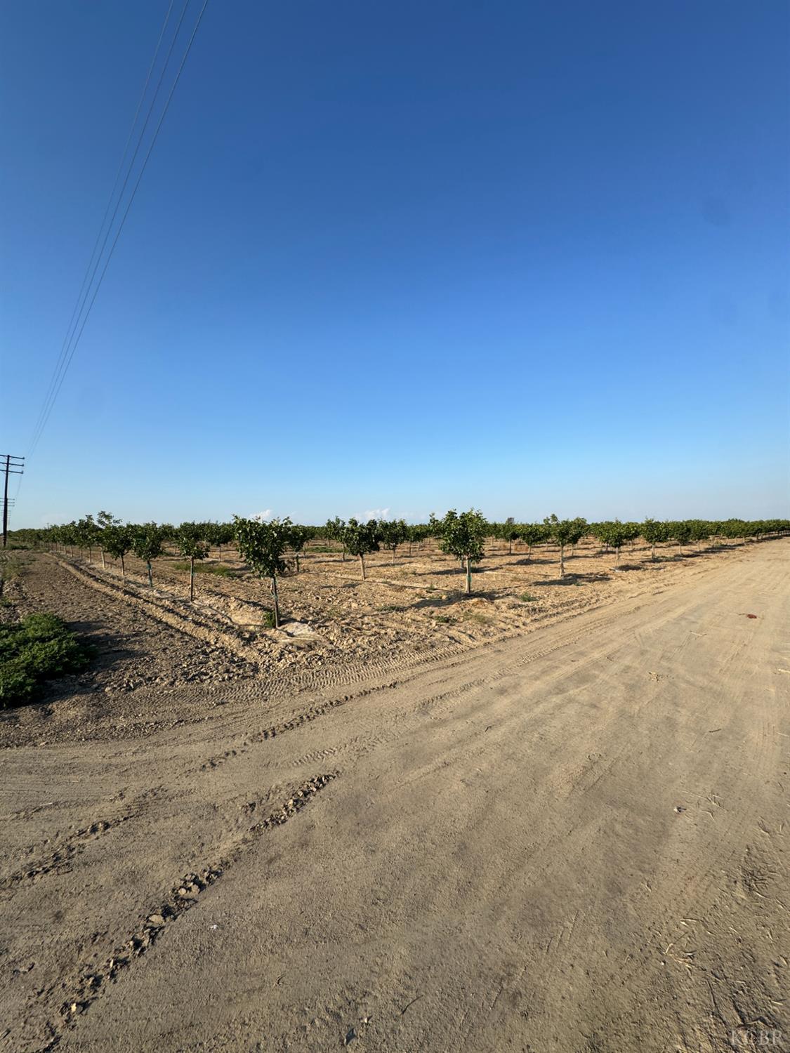 0 Ave 56, Earlimart, CA 93219