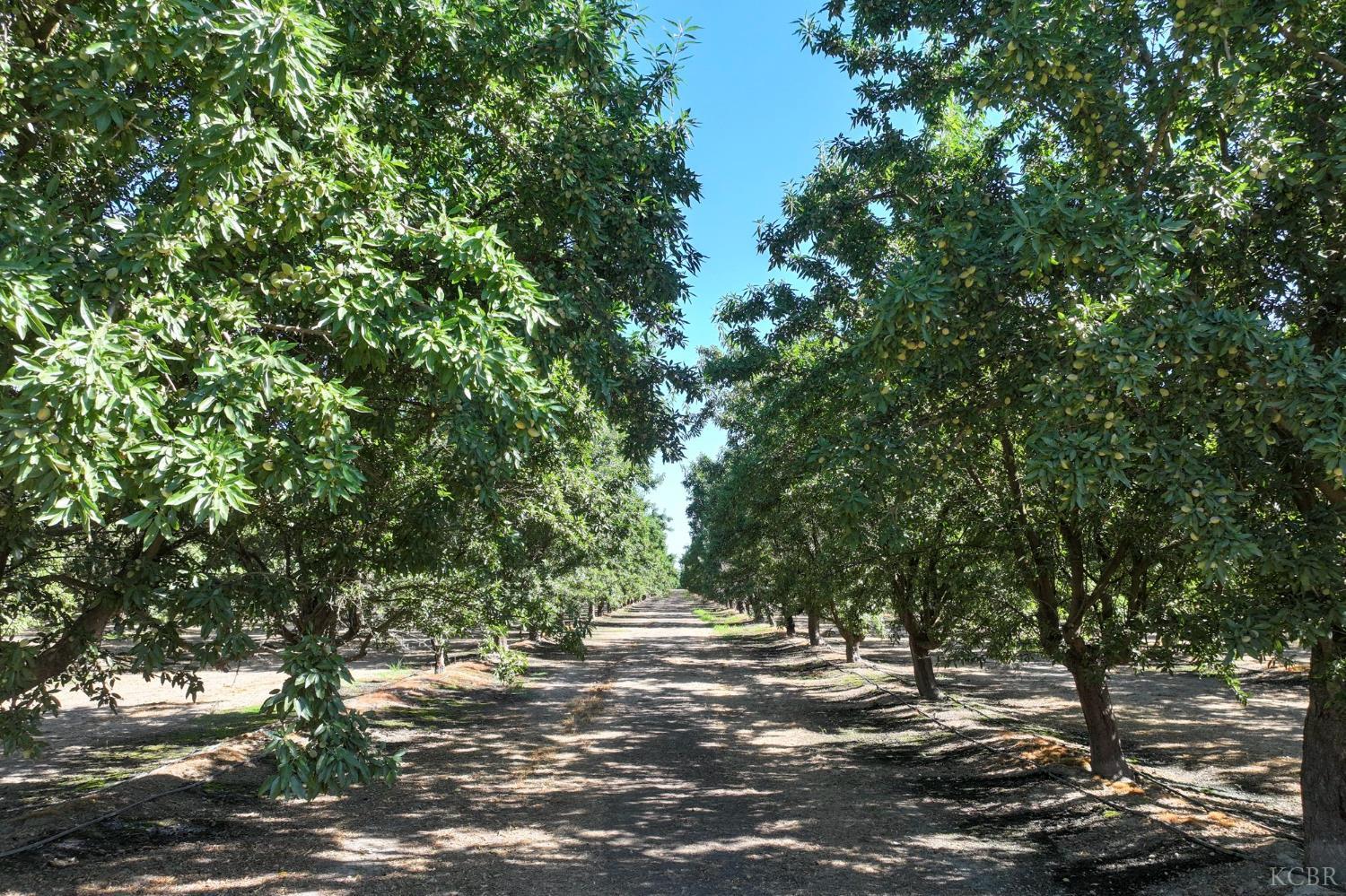 14056 Elgin Ave, Hanford, CA 93230
