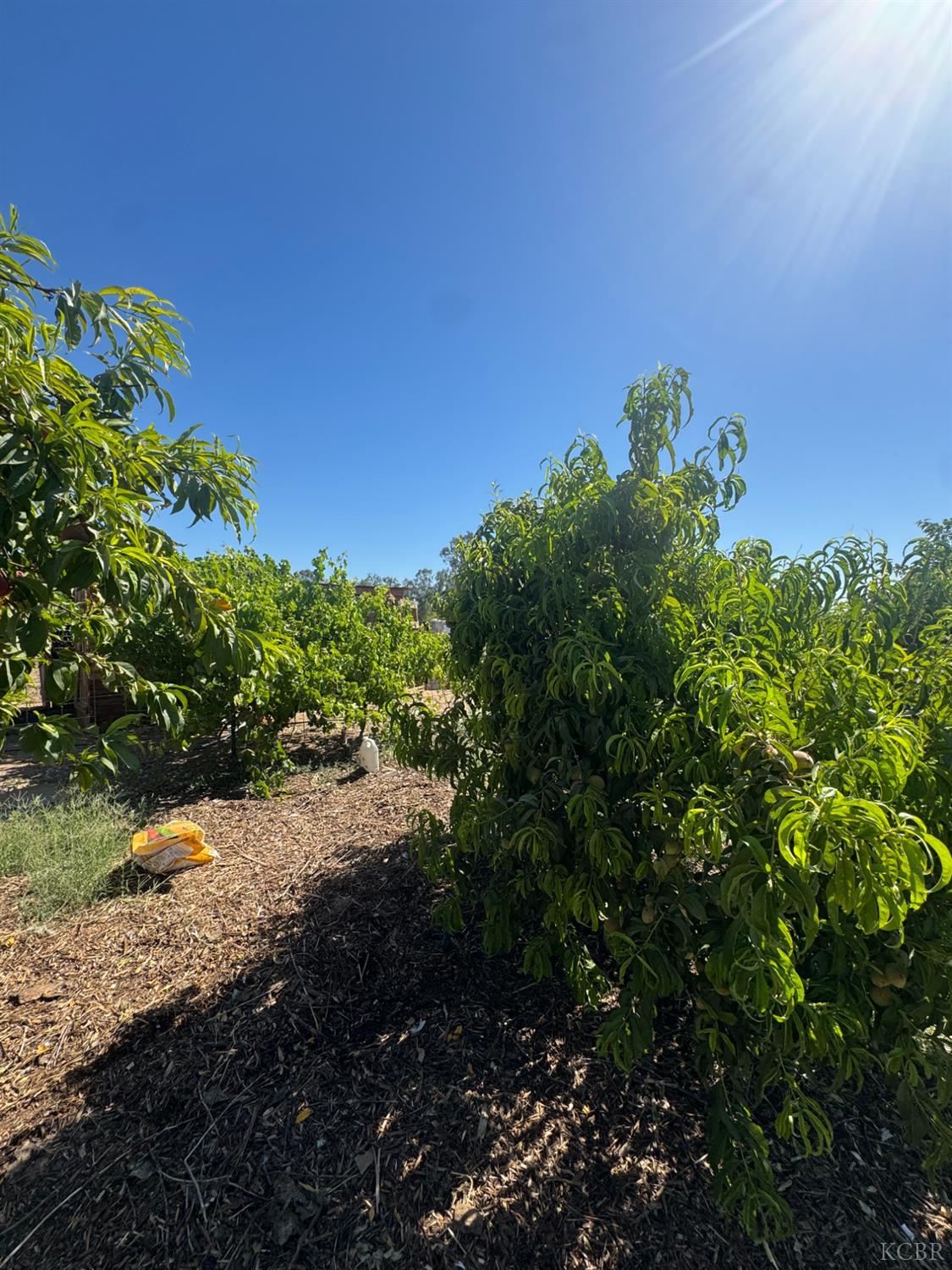 20283 Oakhill Rd, Madera, CA 93638