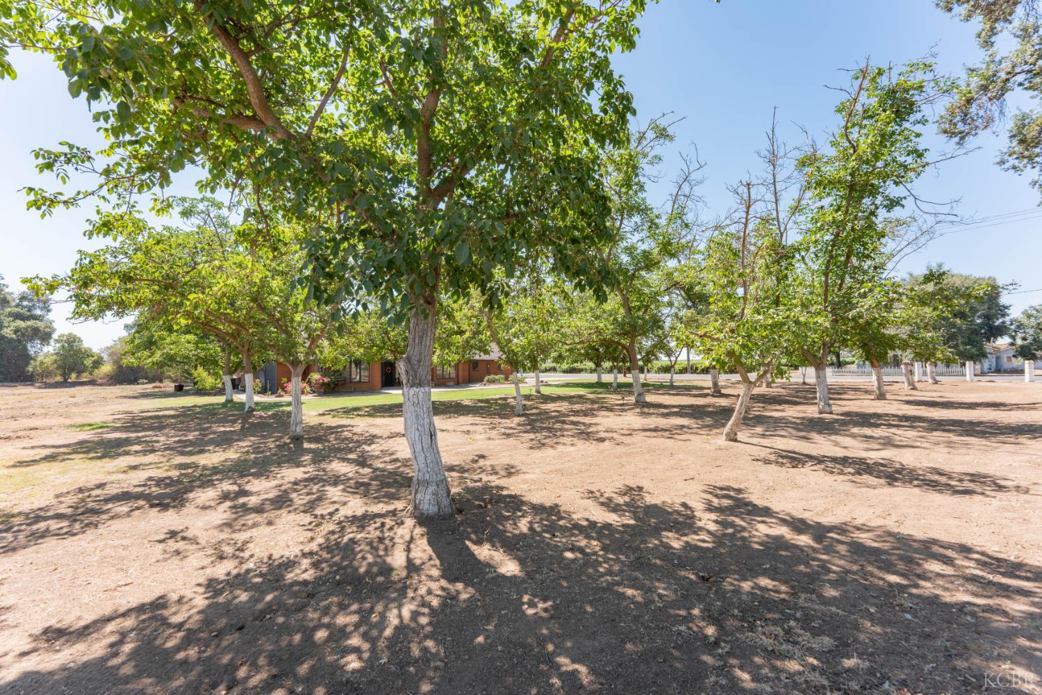 28821 Road 168, Visalia, CA 93292