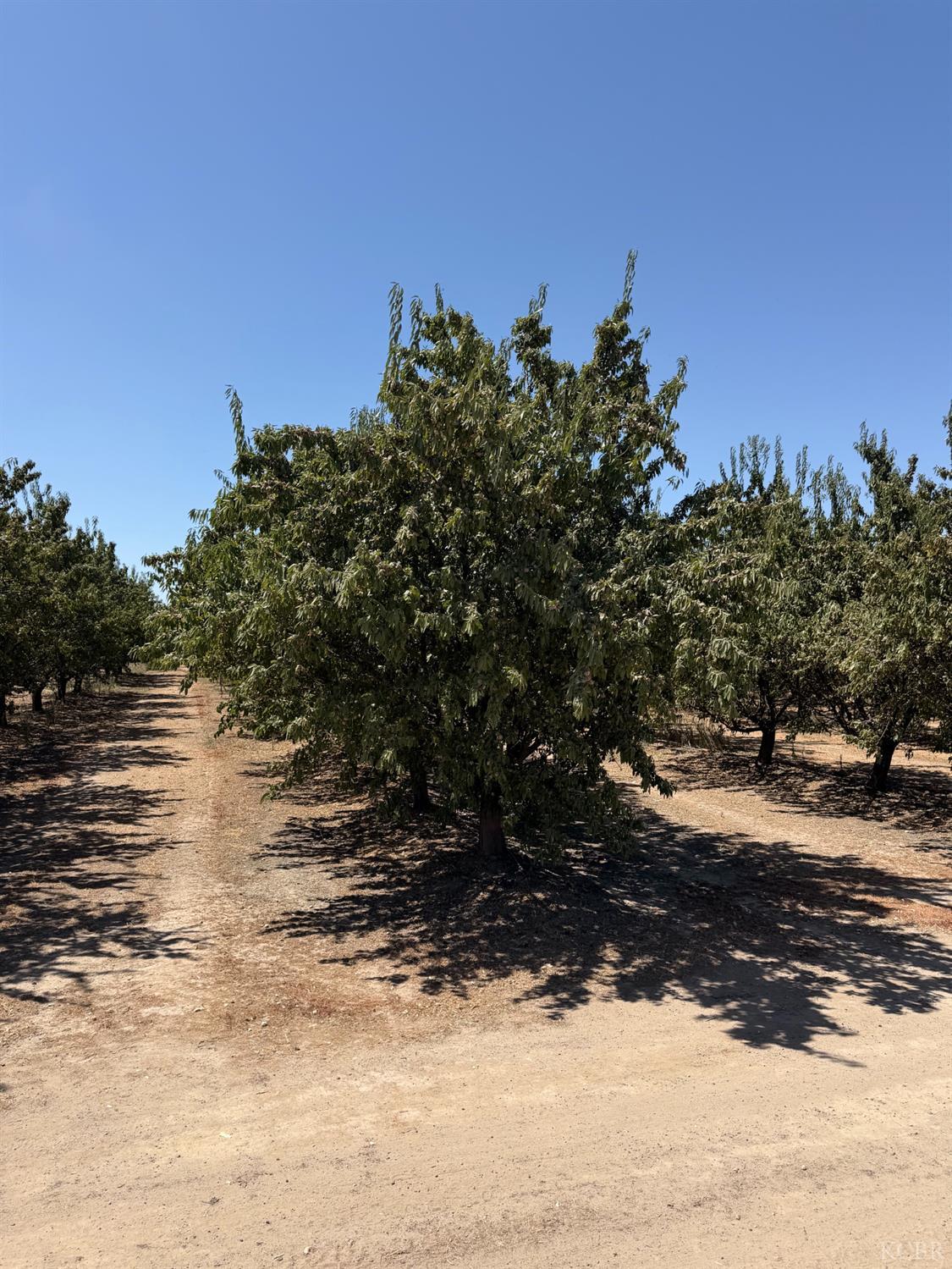 8251 Iona Ave, Hanford, CA 93230