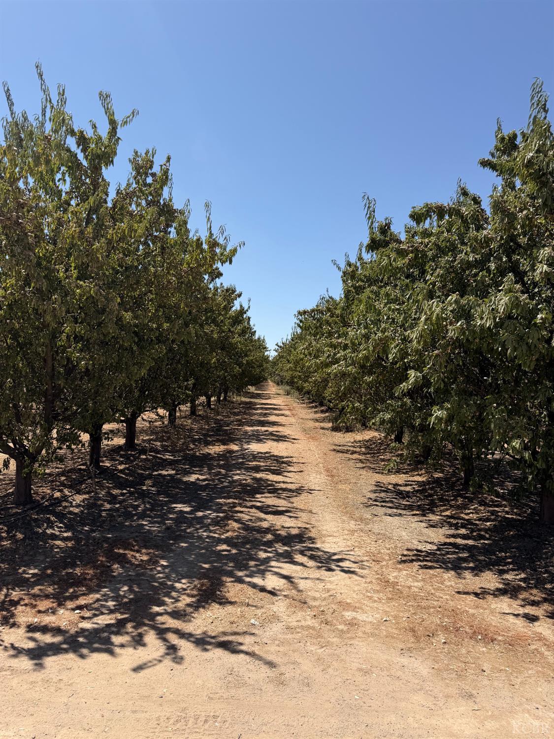 8251 Iona Ave, Hanford, CA 93230