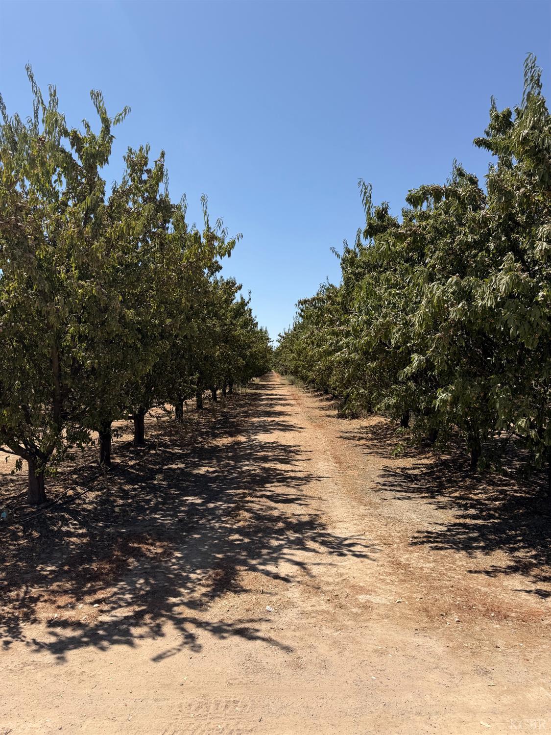 8251 Iona Ave, Hanford, CA 93230