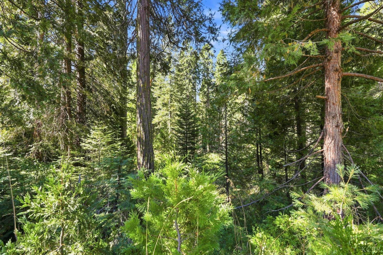 0 Foxglove Ln, Shaver Lake, CA 93664
