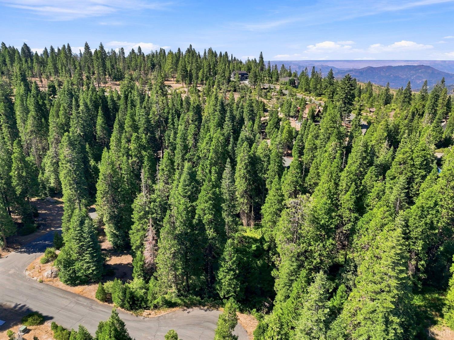0 Foxglove Ln, Shaver Lake, CA 93664