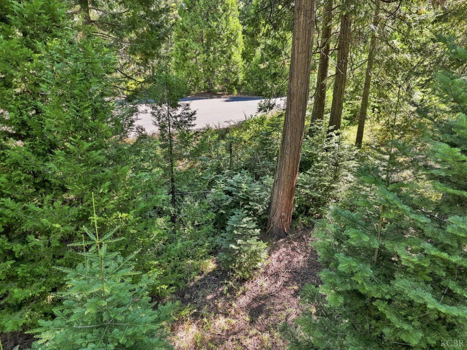0 Foxglove Ln, Shaver Lake, CA 93664