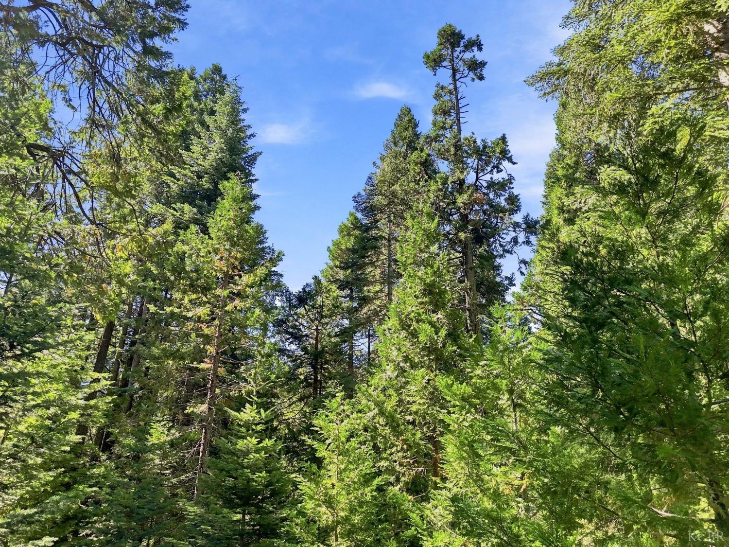 0 Foxglove Ln, Shaver Lake, CA 93664
