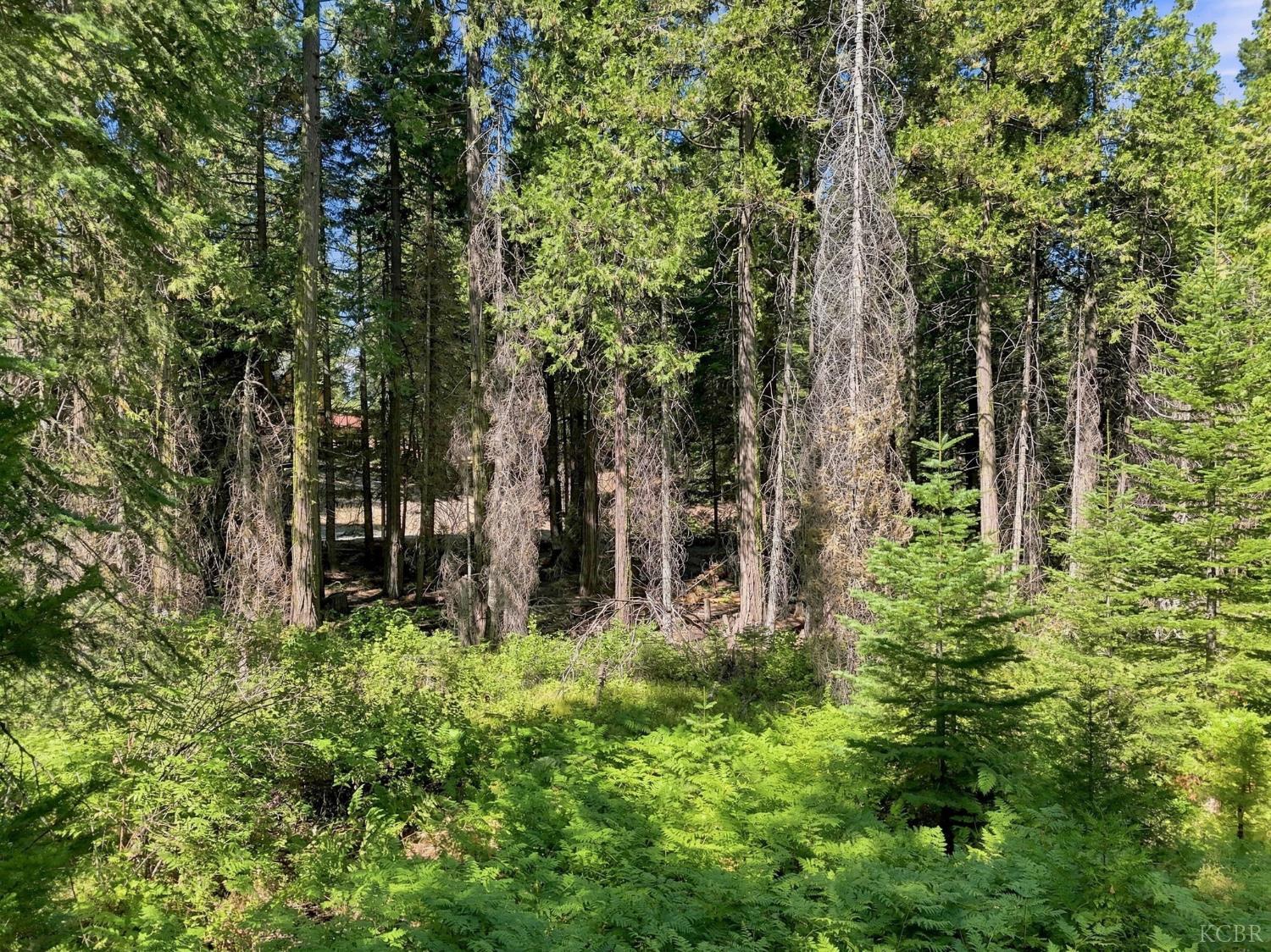 0 Foxglove Ln, Shaver Lake, CA 93664