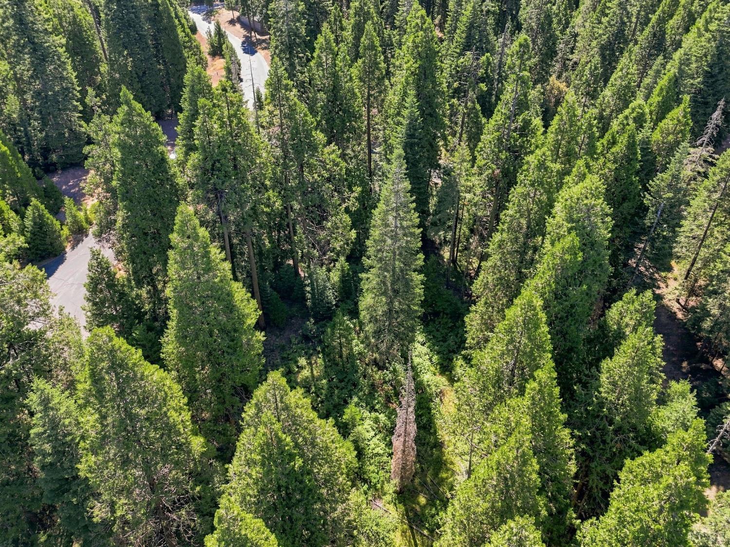 0 Foxglove Ln, Shaver Lake, CA 93664