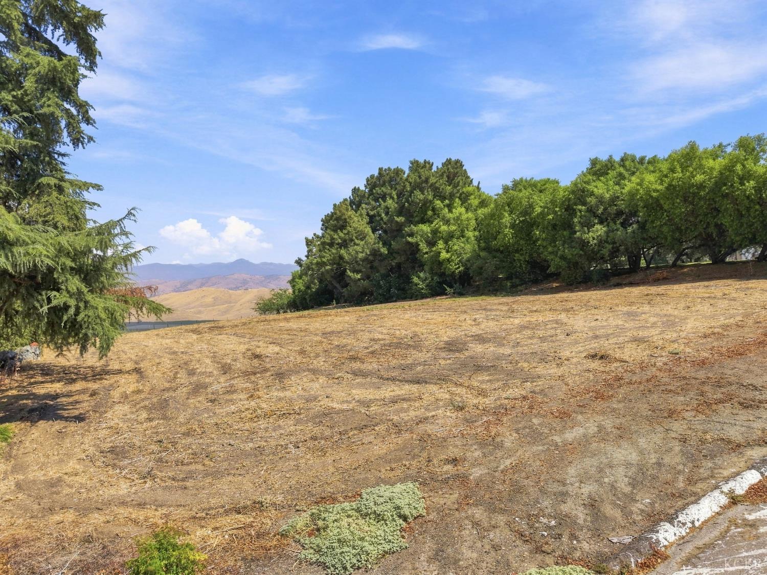 0 115-230-020-000, Exeter, CA 93221