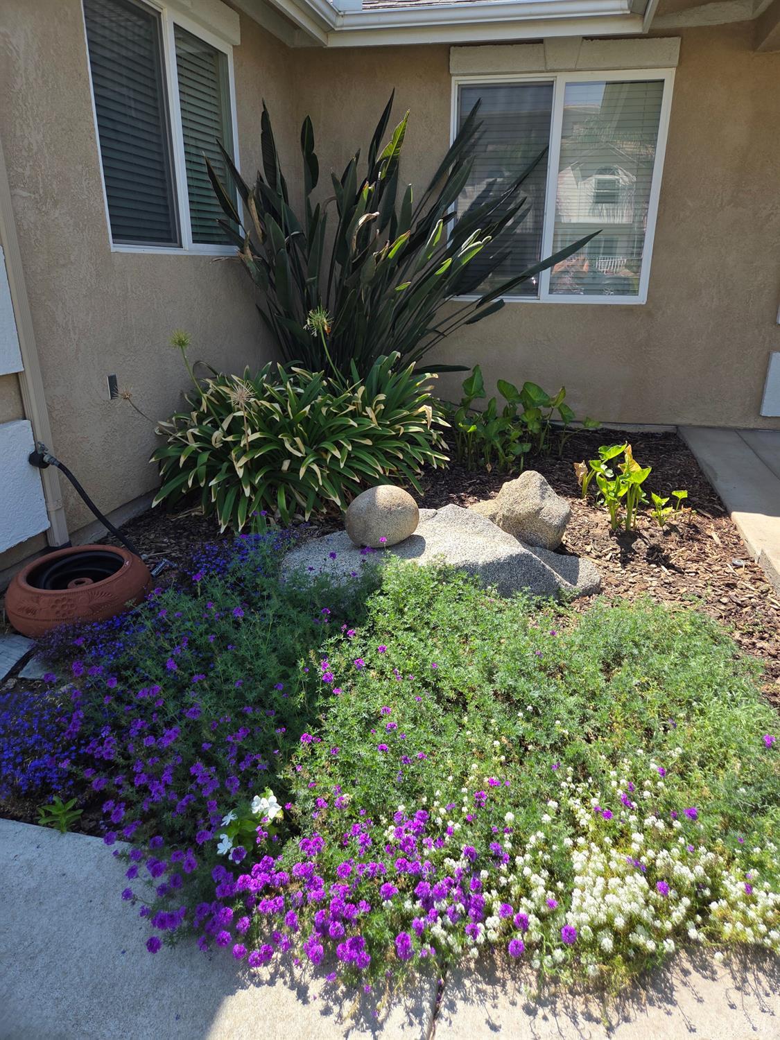 1029 Pillar Ct, Lemoore, CA 93245