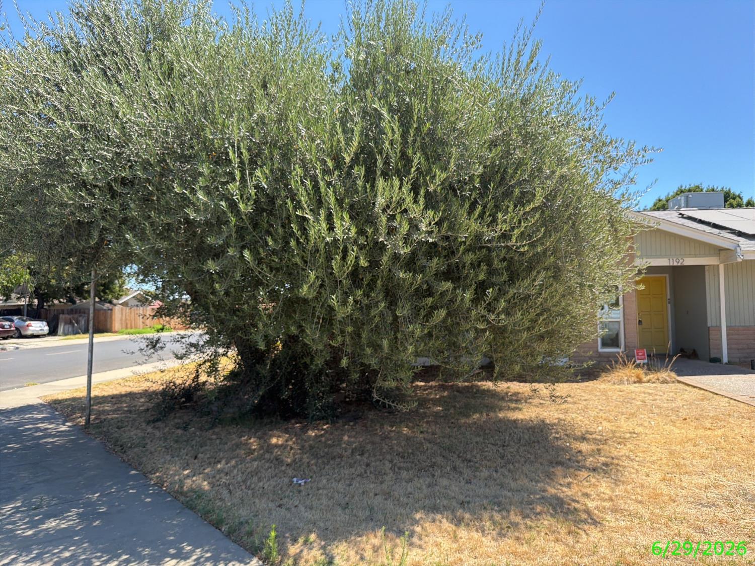 1192 Ashland Dr, Lemoore, CA 93245