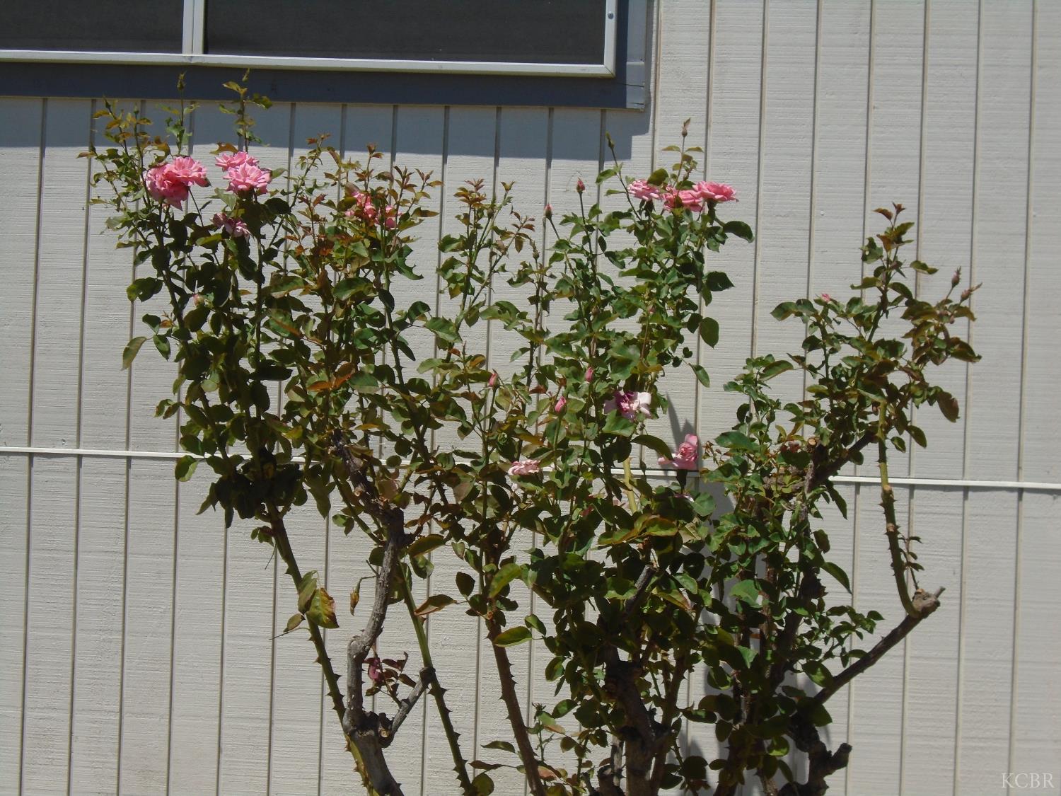 860 #18 E Grangeville Blvd, Hanford, CA 93230