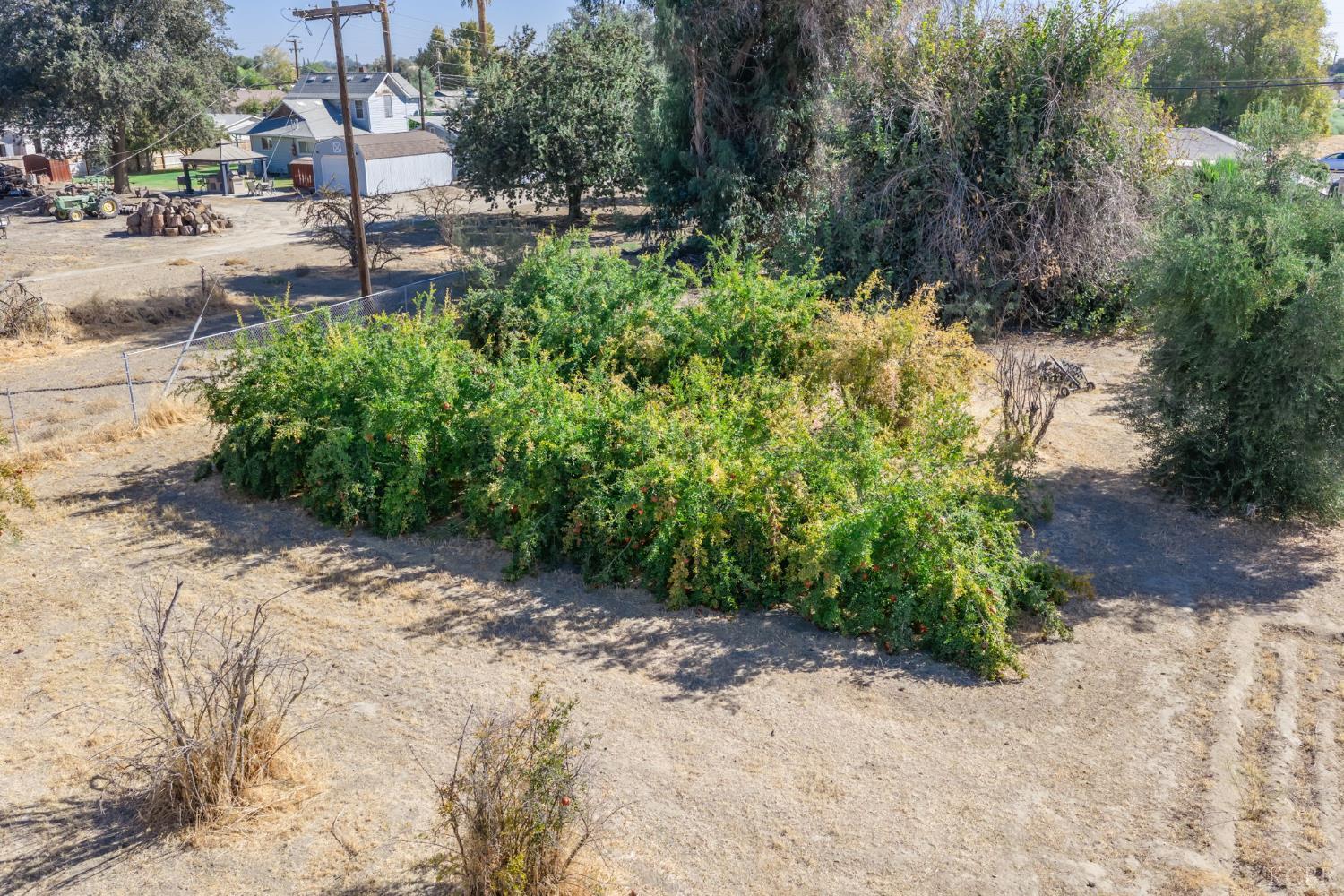395 Champion St, Lemoore, CA 93245