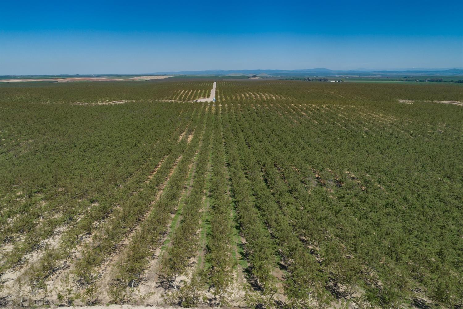 14954 Tim Bell Rd, Waterford, CA 95386