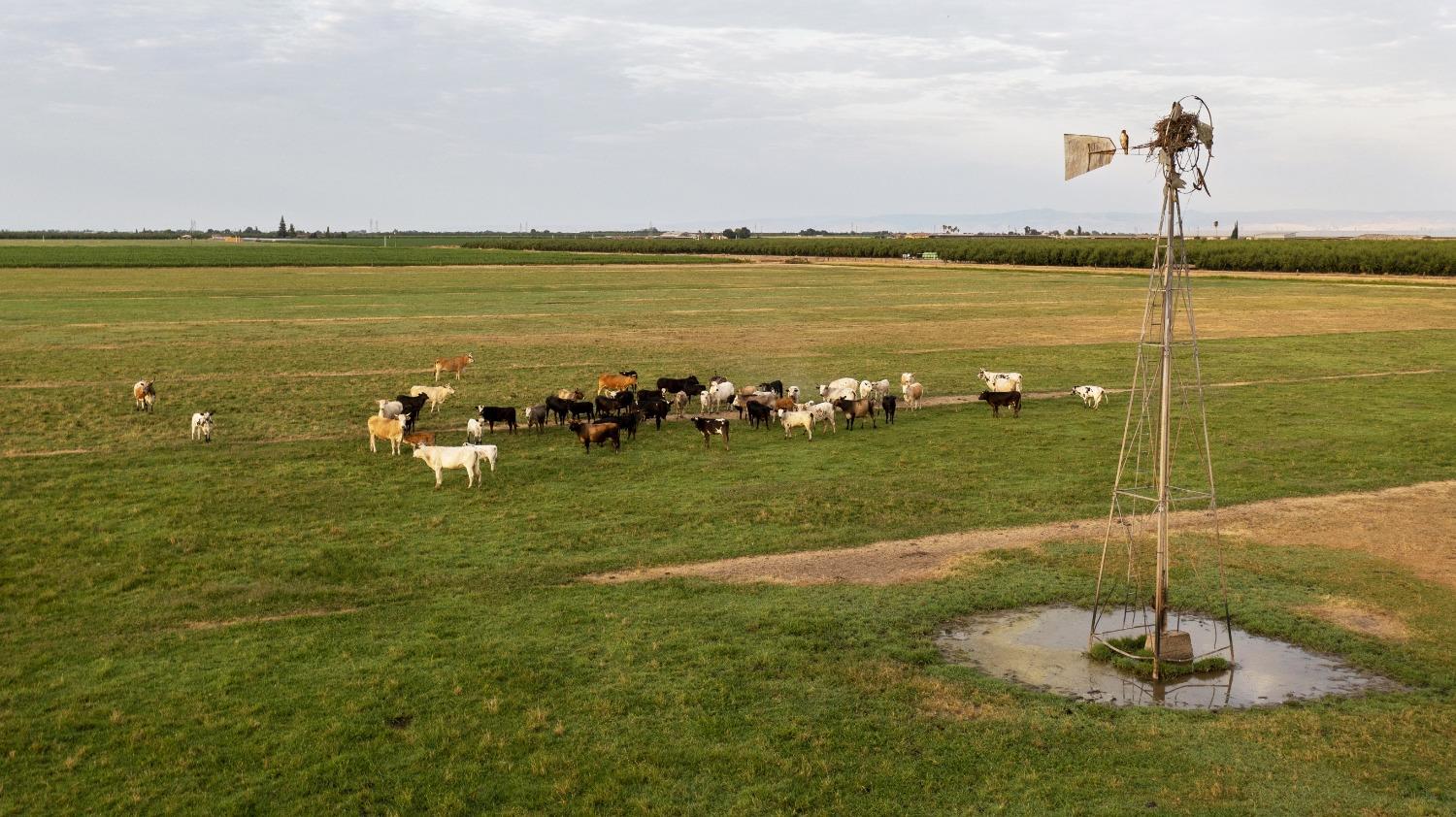 0 Escalon_Belotta Rd., Escalon, CA 95320