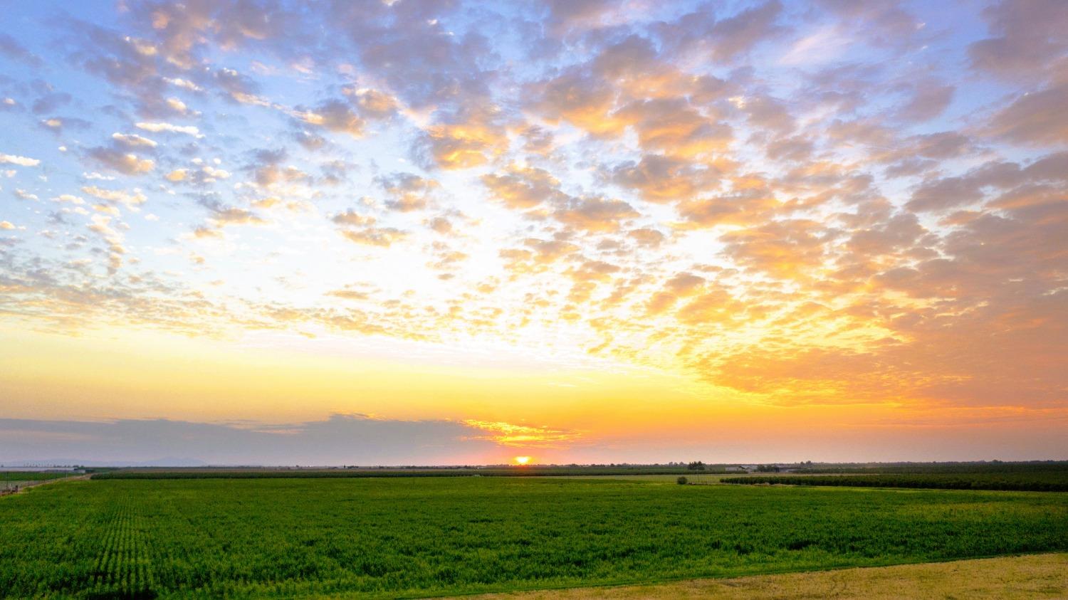 0 Escalon_Belotta Rd., Escalon, CA 95320