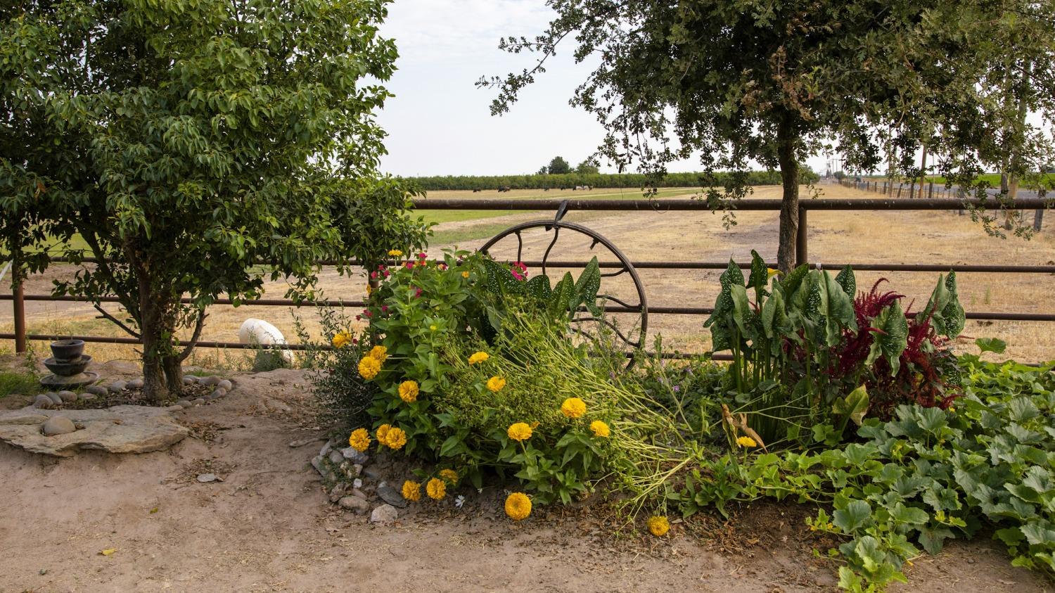 0 Escalon_Belotta Rd., Escalon, CA 95320