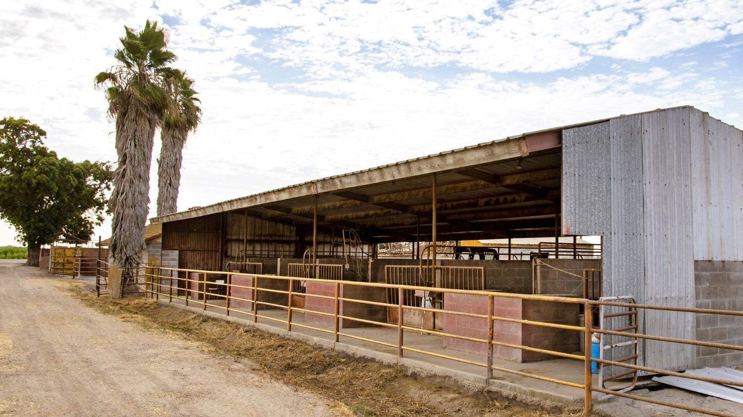 0 Escalon_Belotta Rd., Escalon, CA 95320