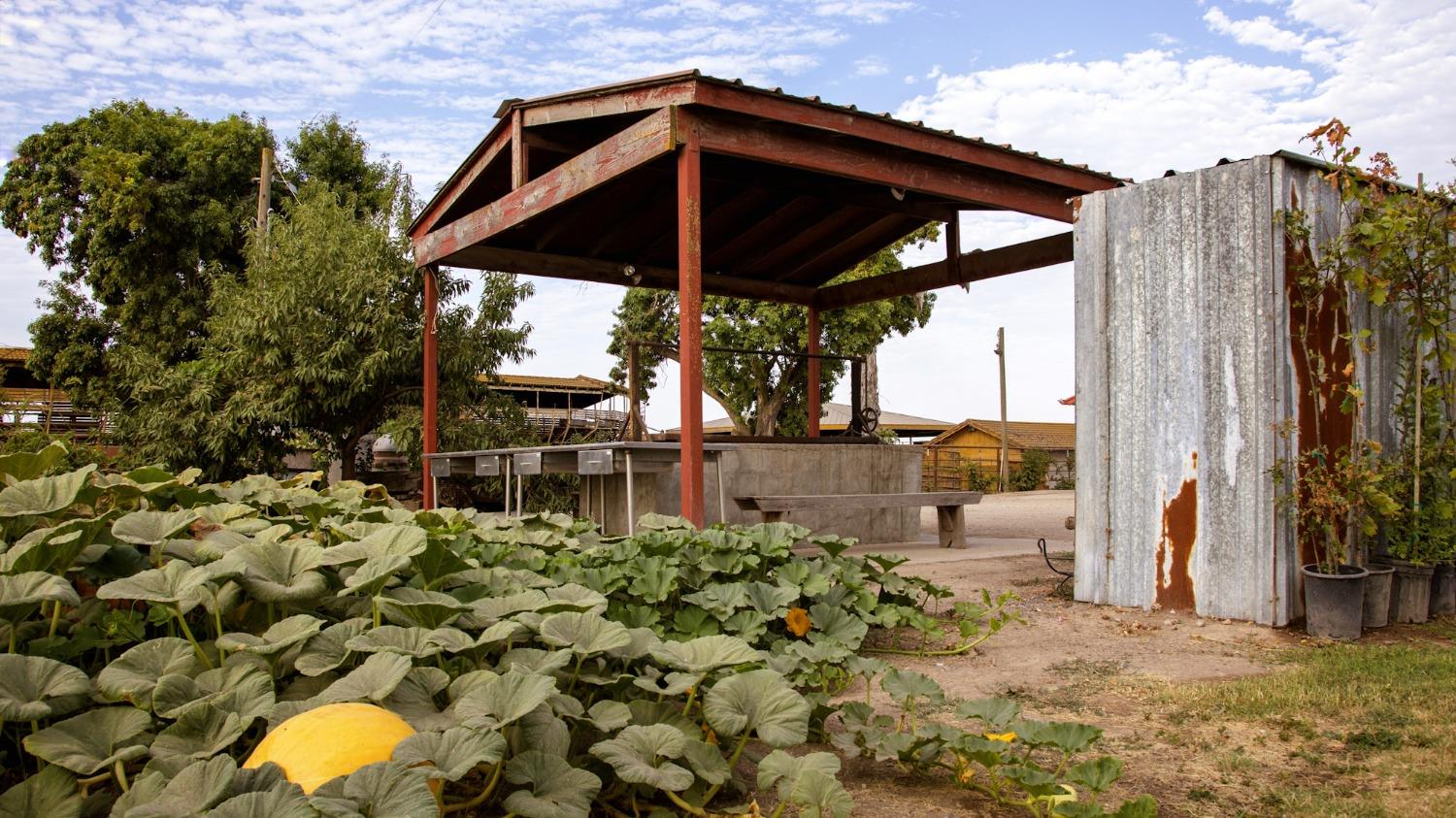 0 Escalon_Belotta Rd., Escalon, CA 95320