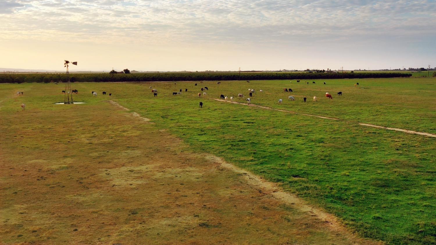 0 Escalon_Belotta Rd., Escalon, CA 95320