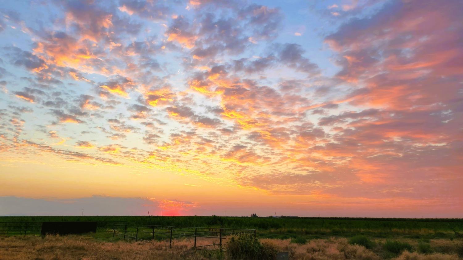 0 Escalon_Belotta Rd., Escalon, CA 95320