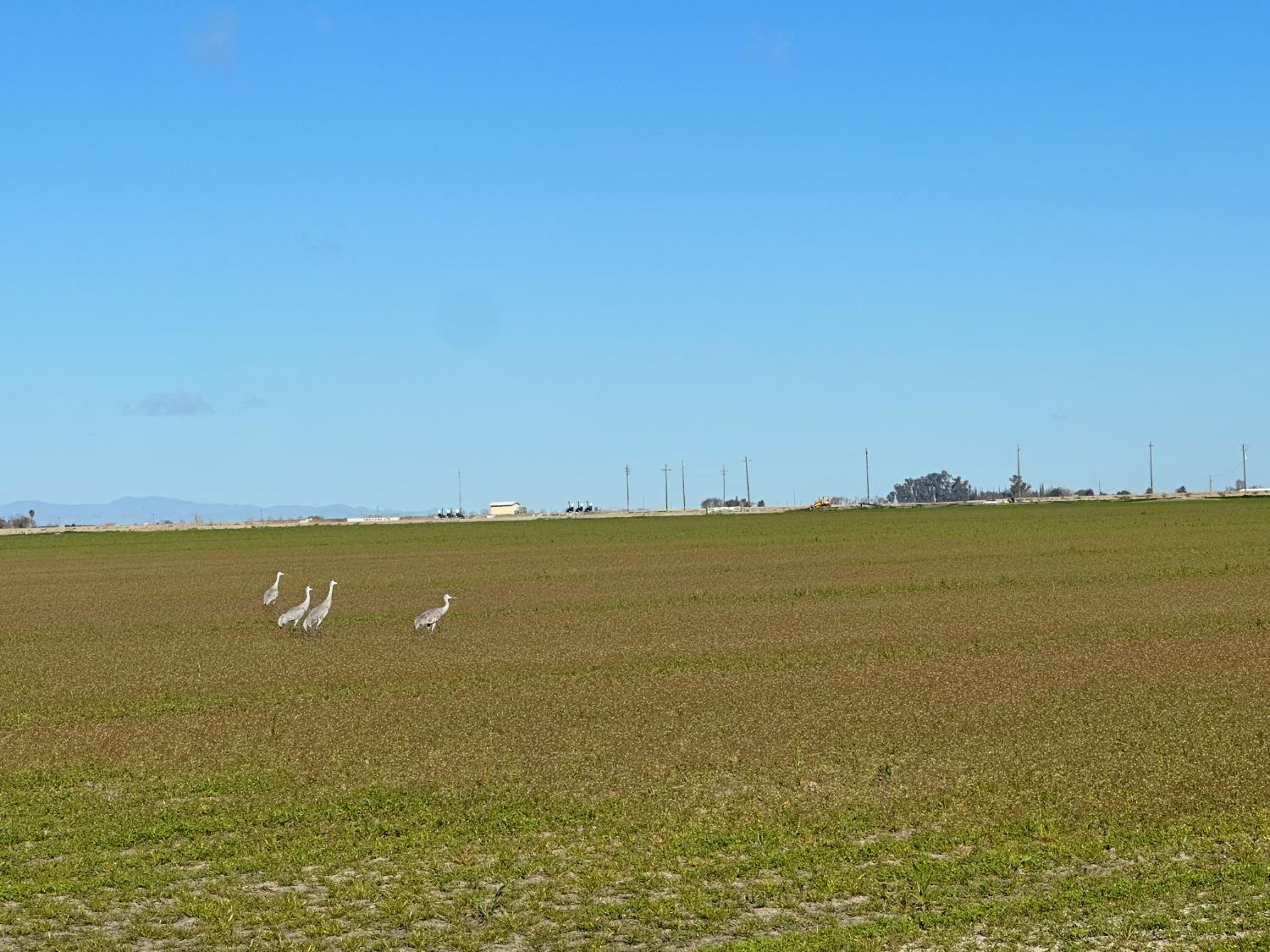 0 S Turner Island Rd, Los Banos, CA 93620