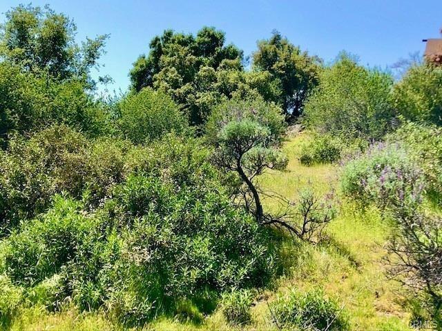 0 0 N Dome Dr, Coarsegold, CA 93614