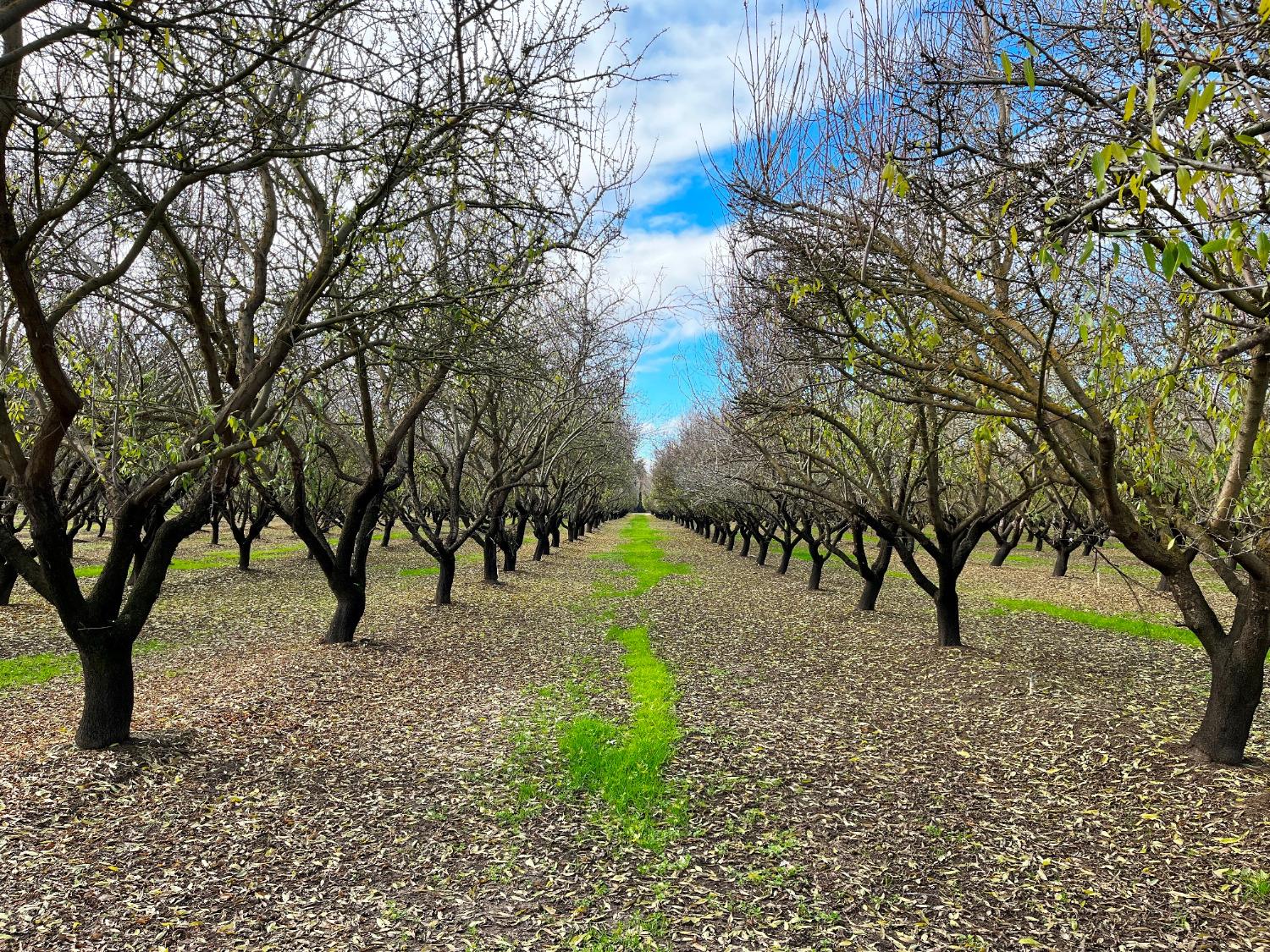 0 Eucalyptus Ave, Winton, CA 95388