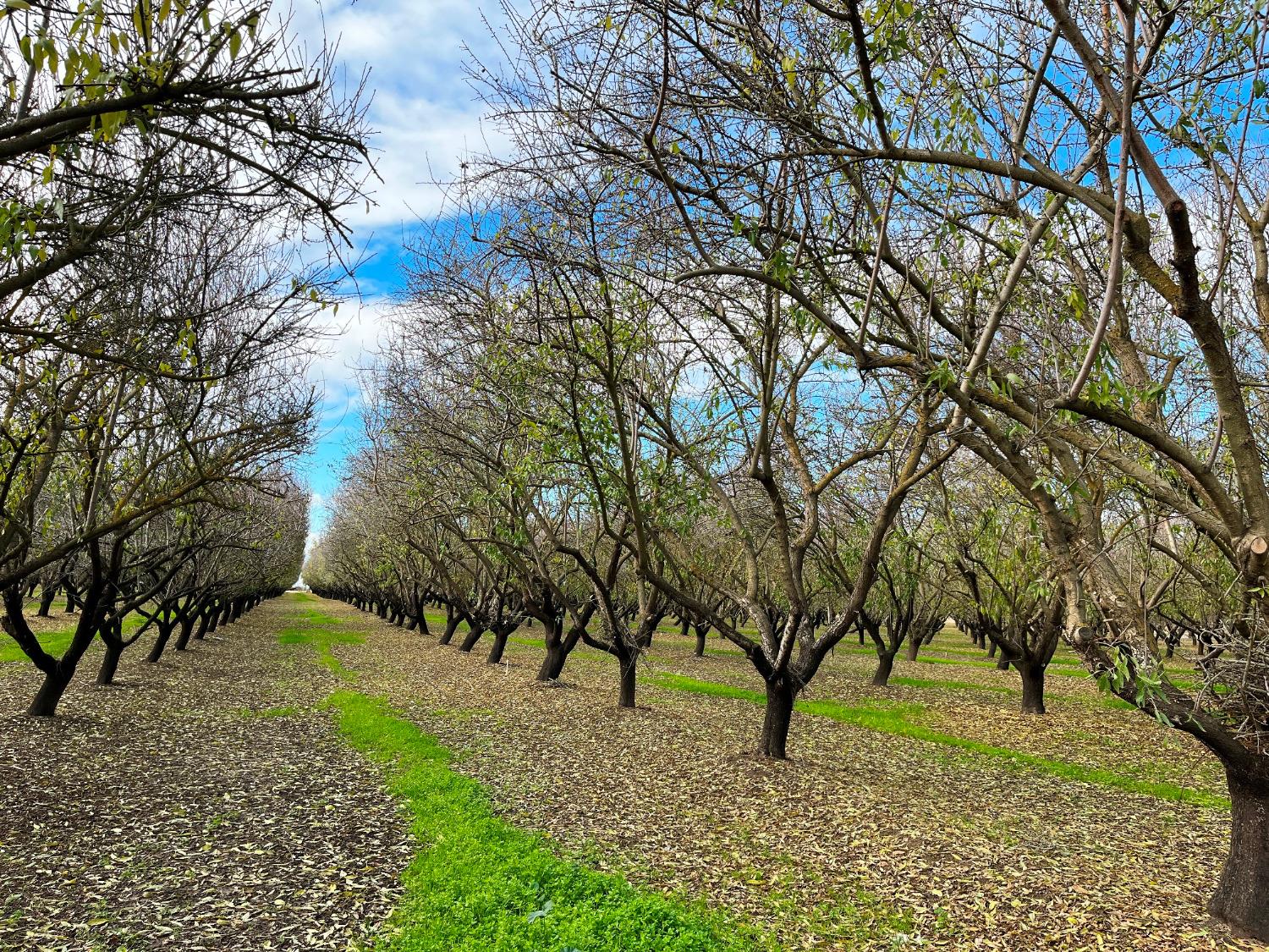 0 Eucalyptus Ave, Winton, CA 95388