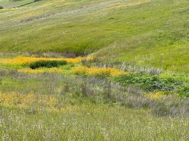 9693 Dolorosa St, La Grange, CA 95329