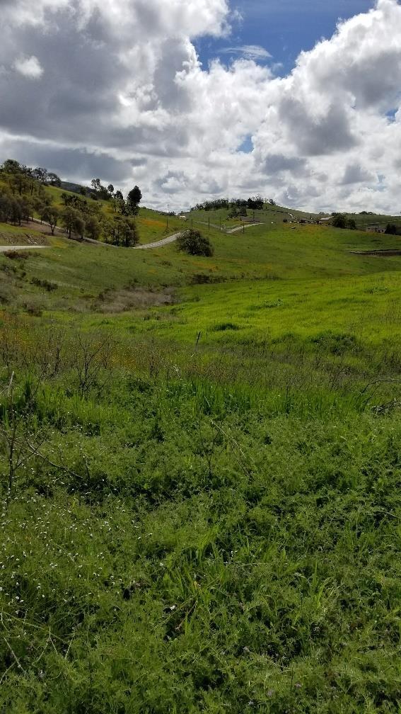 9693 Dolorosa St, La Grange, CA 95329