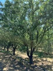 3718 W Tuolumne Rd, Turlock, CA 95380