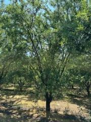 3718 W Tuolumne Rd, Turlock, CA 95380