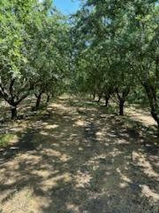 3718 W Tuolumne Rd, Turlock, CA 95380