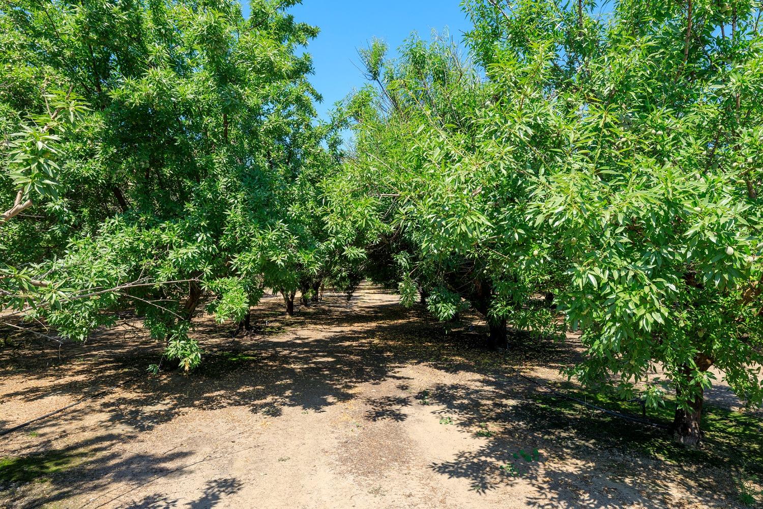 13 Acres Hunter Rd, Livingston, CA 95334