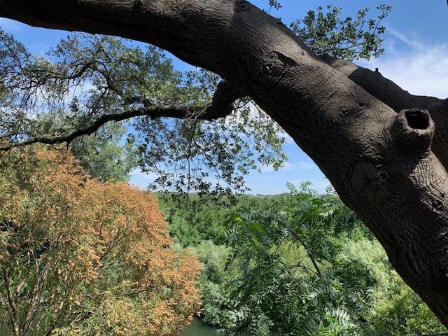 1242 River Bluff Dr, Oakdale, CA 95361