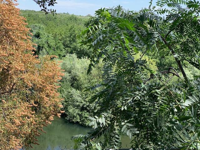 1242 River Bluff Dr, Oakdale, CA 95361