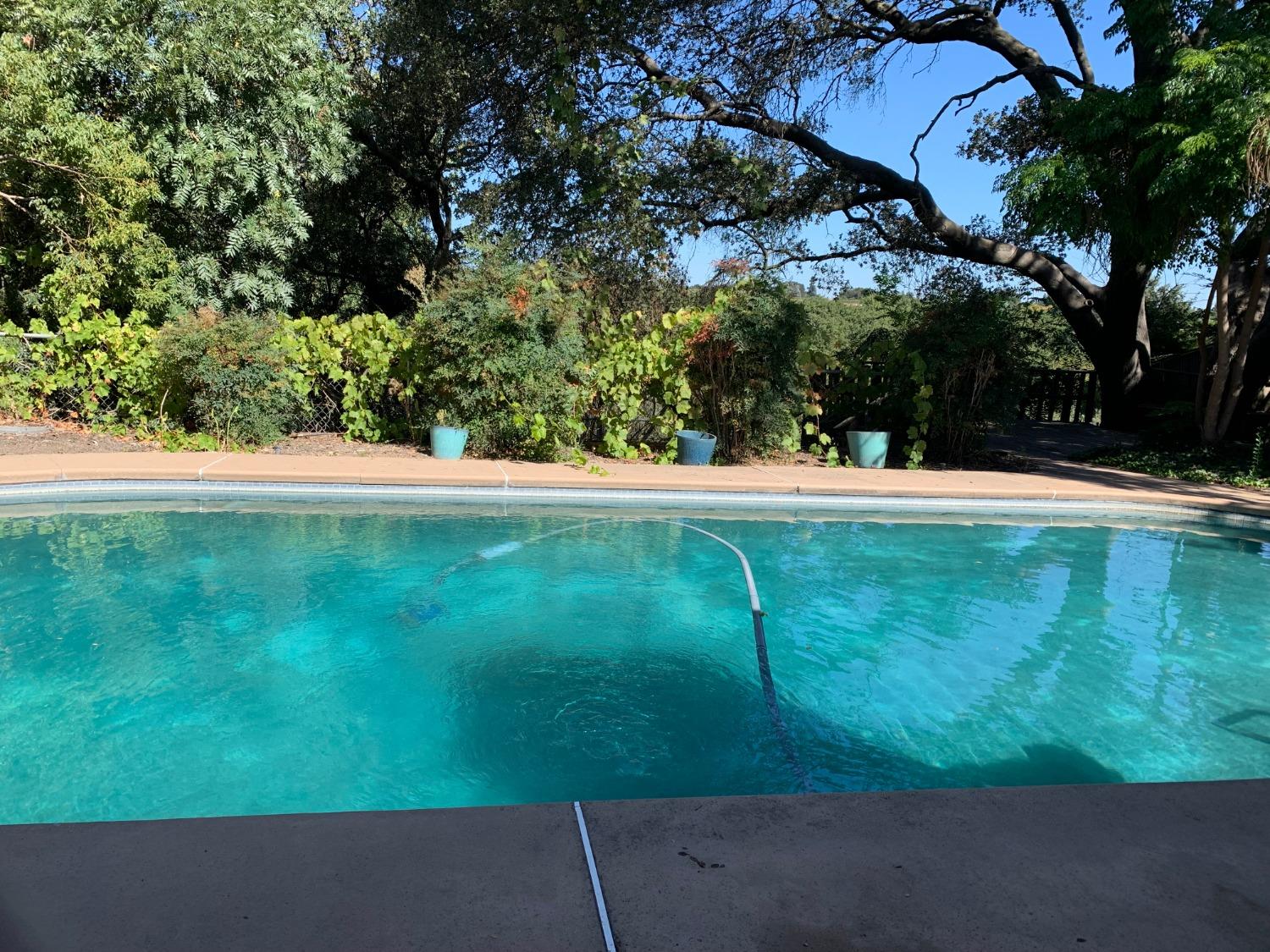 1242 River Bluff Dr, Oakdale, CA 95361