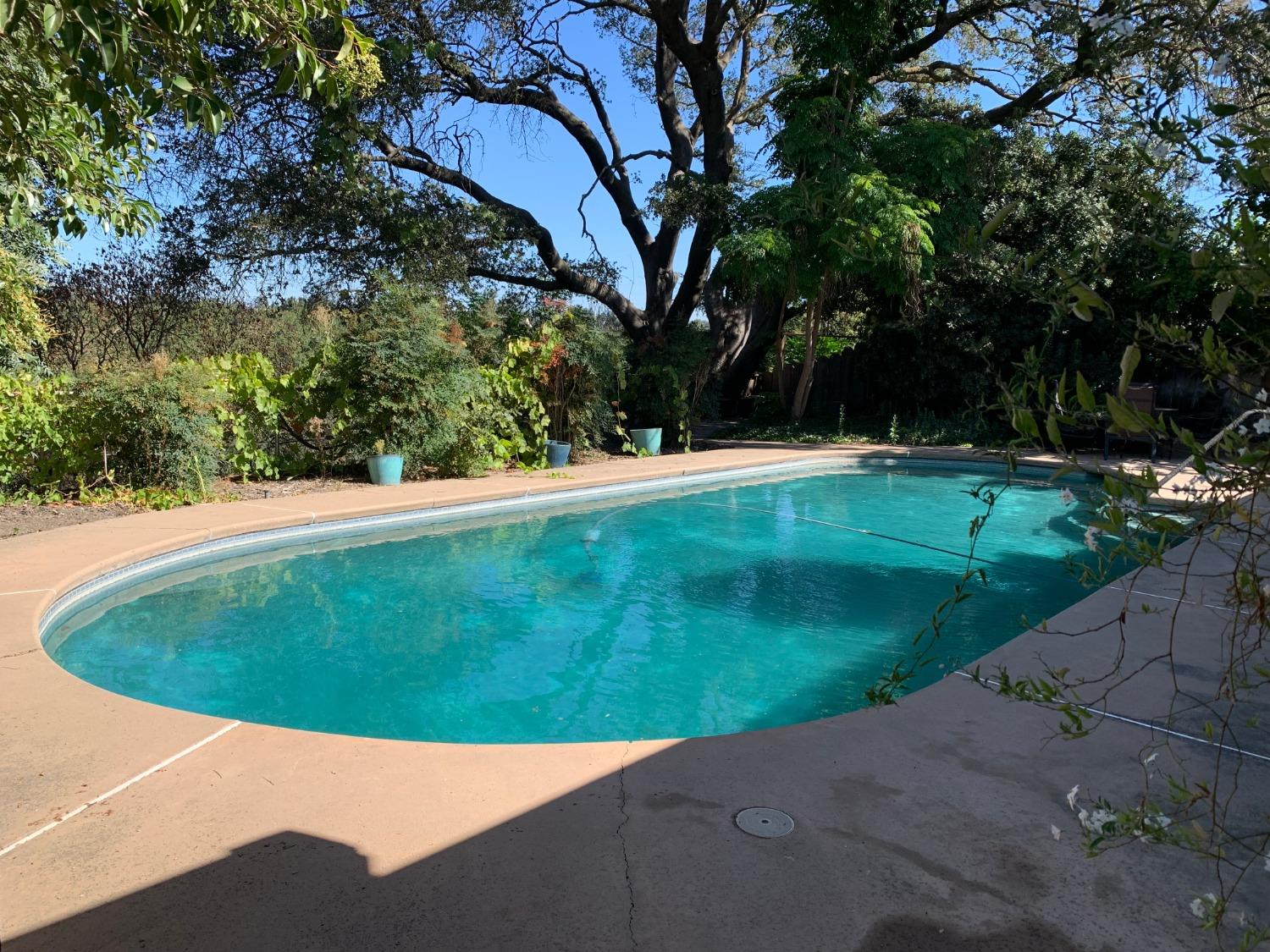 1242 River Bluff Dr, Oakdale, CA 95361